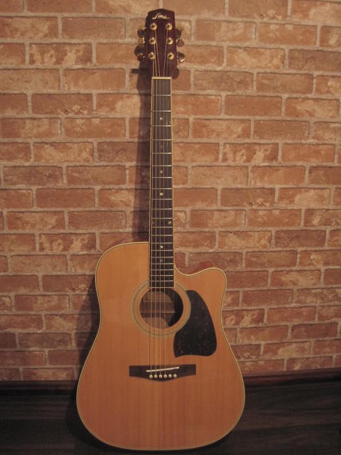 fina FAW-800/NT アコースティックギター アコースティックギター ホットセール