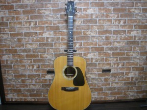 GP-TK-TakamineTS-500