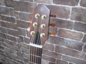 IMG_8900