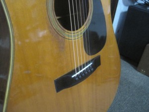 IMG_8941
