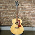 GP-sp-SPECIAL COLLECTION SJ-200