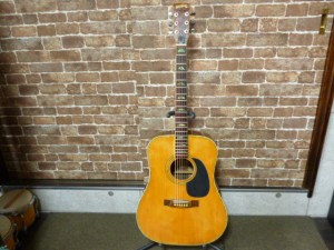 GP-KS-Hillbilly　W-35