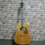 GP-CR-Cort EARTH 200 NAT