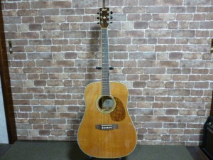 GP-CR-Cort EARTH 200 NAT